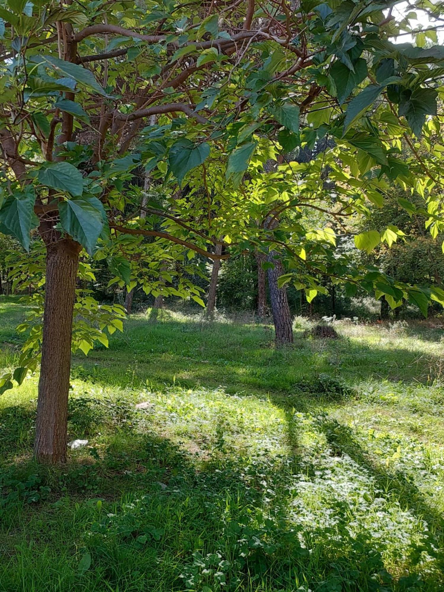 A'Studio Τίρανα Εξωτερικό φωτογραφία
